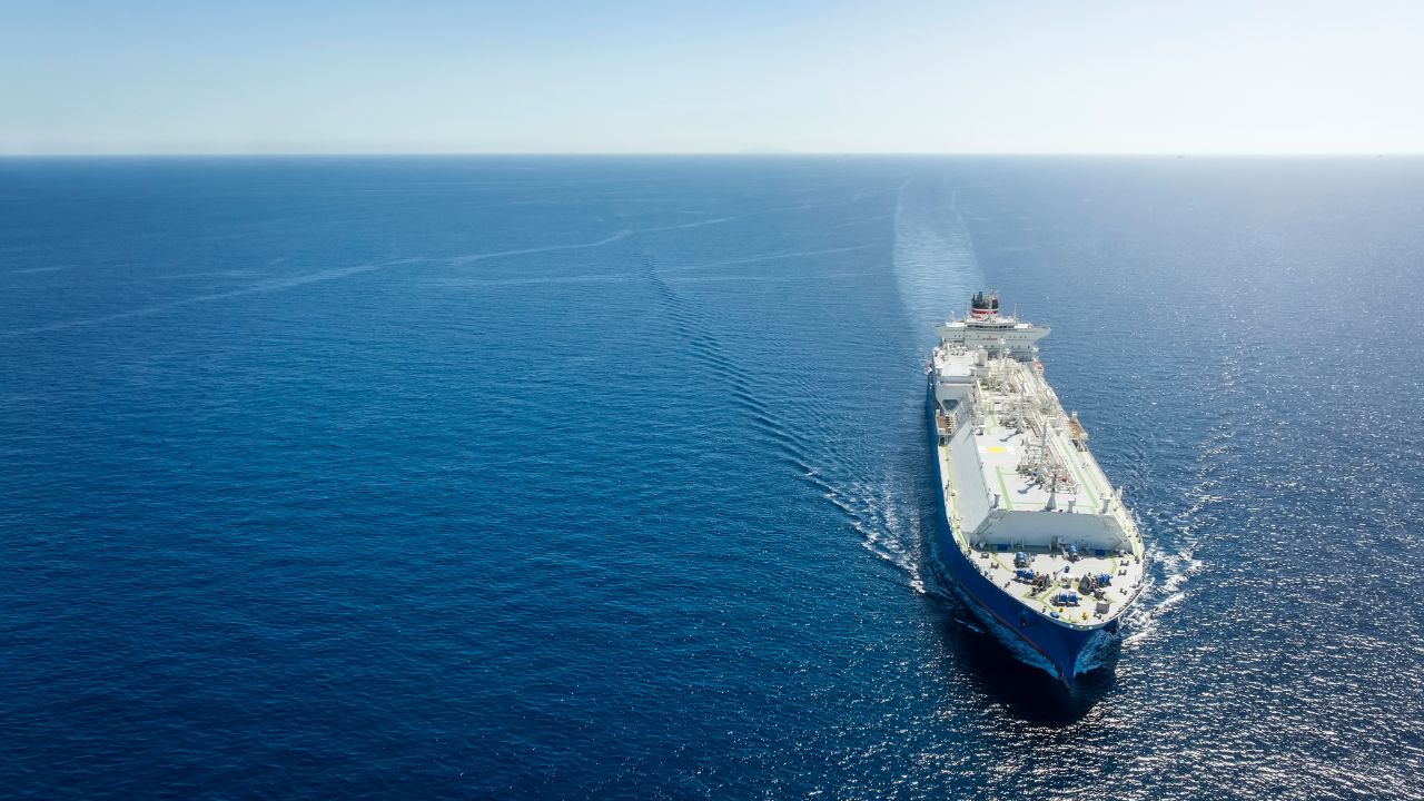 Pollution sonore en mer : une menace silencieuse pour les cétacés